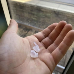 Flare CALMER® -Earjobs calmerhandtranslucent